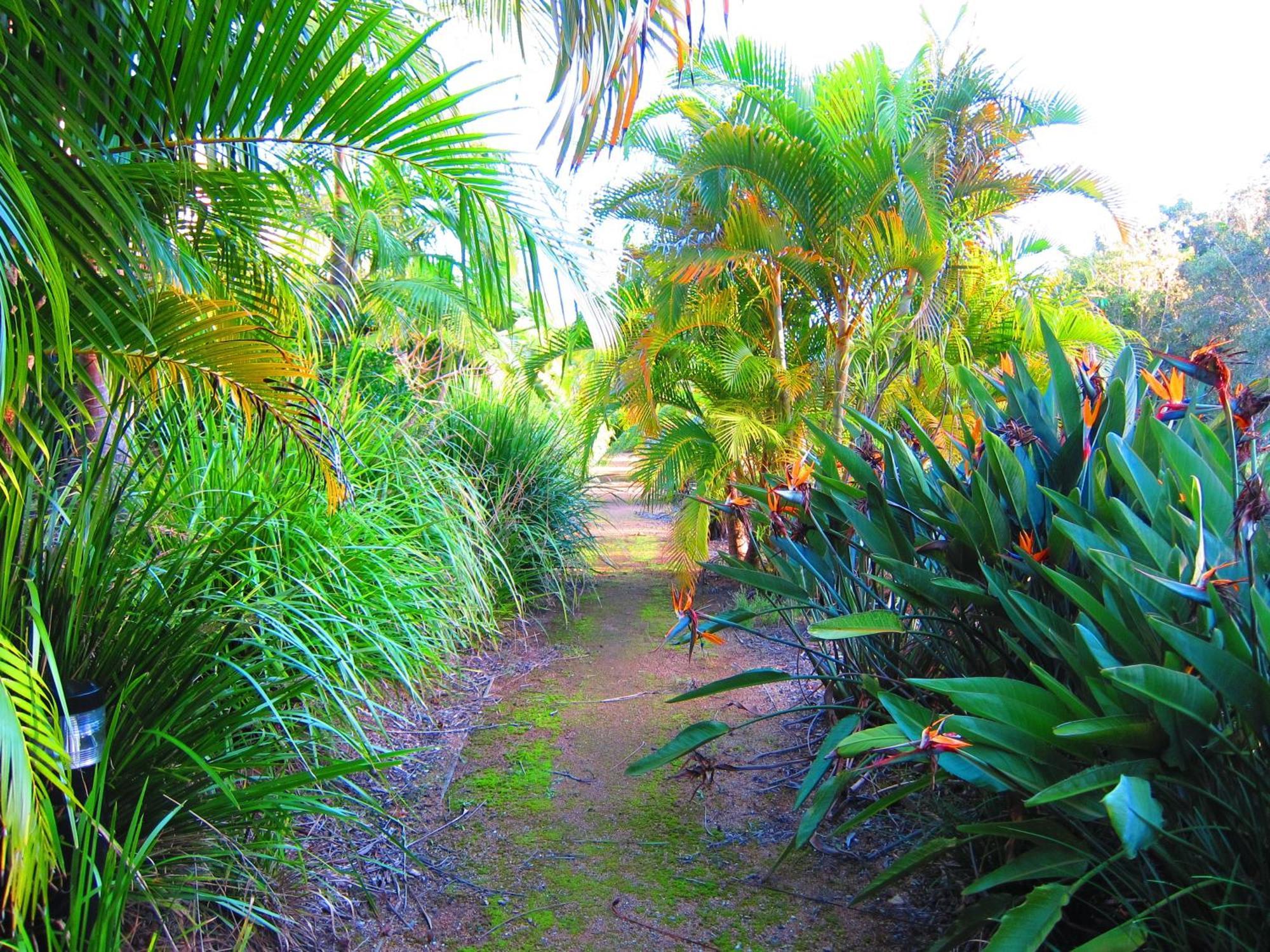 Byron Lakeside Aparthotel